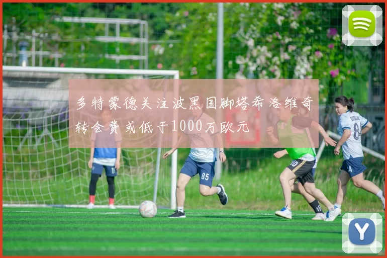 多特蒙德关注波黑国脚塔希洛维奇转会费或低于1000万欧元