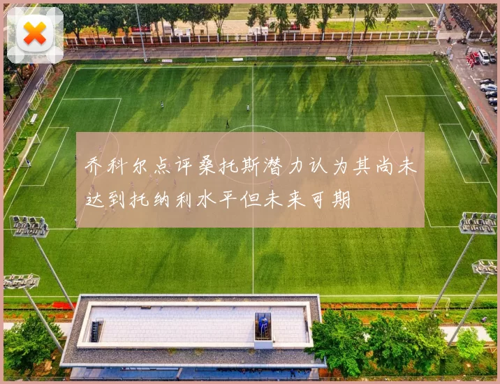 乔科尔点评桑托斯潜力认为其尚未达到托纳利水平但未来可期